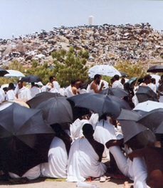 Information on the Hajj