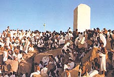 Pilgrims at Arafat Click to view high resolution version